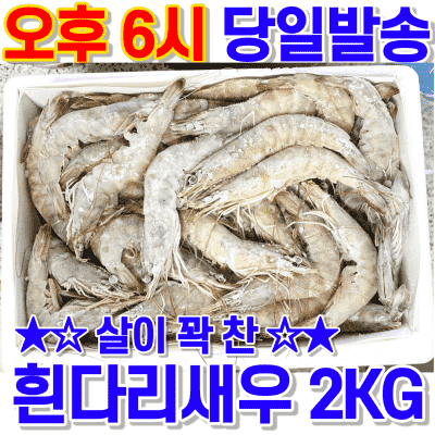 흰다리새우 대성 흰다리 새우 (냉동) 2kg 