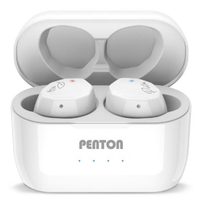 펜톤다이아팟 펜톤 TSX 다이아팟 W 블루투스 5.3 이어폰