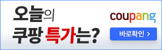대전선화동실비김치 대전 실비집 / 매운 실비 김치 3kg