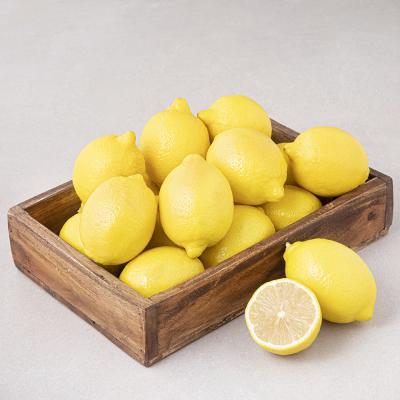 레몬 곰곰 미국산 레몬