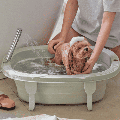 강아지목욕탕 [헤이테일] 반려동물 강아지 접이식 폴더블 욕조