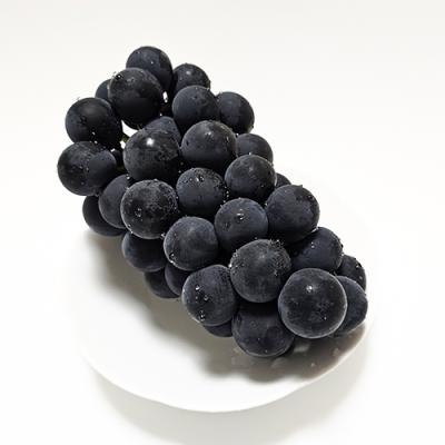 샤인머스켓 [푸룻과일] 영동 진천 거봉 포도 프리미엄 선물용 600g 1.2kg 2kg